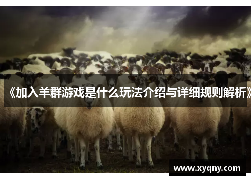 《加入羊群游戏是什么玩法介绍与详细规则解析》
