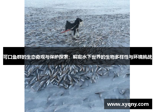 可口鱼群的生态奇观与保护探索：解密水下世界的生物多样性与环境挑战