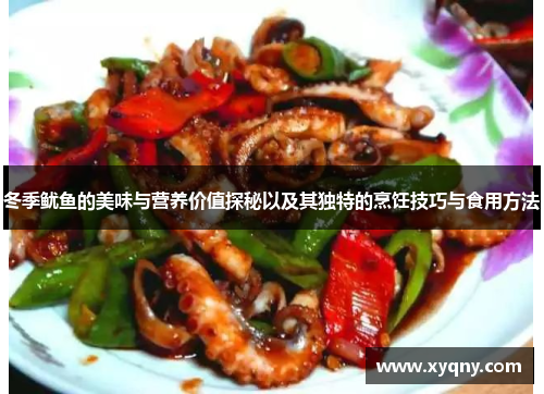冬季鱿鱼的美味与营养价值探秘以及其独特的烹饪技巧与食用方法