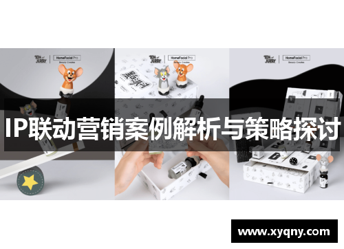 IP联动营销案例解析与策略探讨