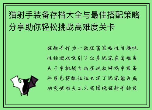 猫射手装备存档大全与最佳搭配策略分享助你轻松挑战高难度关卡